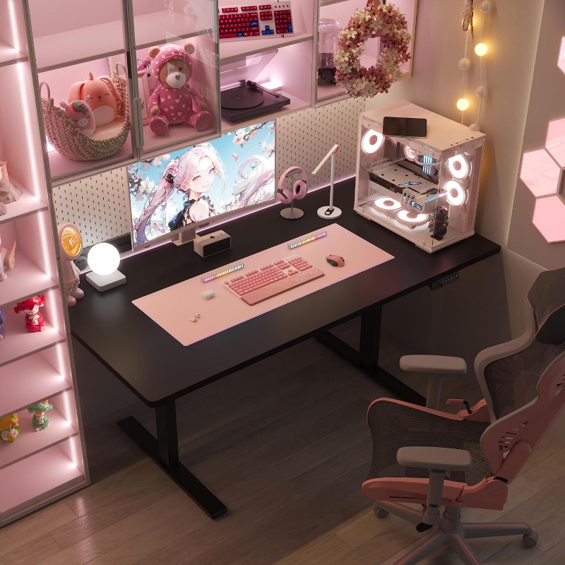 FLEXISPOT Elektrischer Stehsch – Dual Monitor Desk Setup Bewertung und Preis